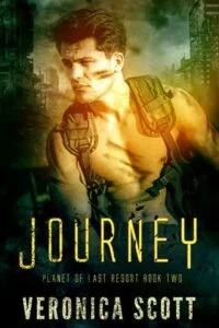Journey by Veronica Scott