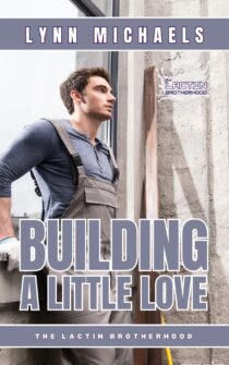 Building A Little Love by Lynn Michaels EPUB & PDF