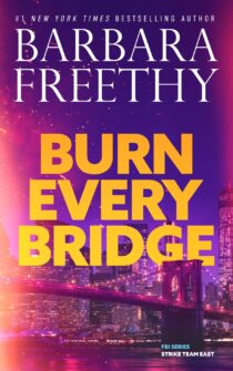 Burn Every Bridge by Barbara Freethy EPUB & PDF
