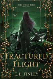 Fractured Flight by E. L. Finley EPUB & PDF