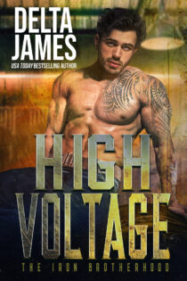 High Voltage by Delta James EPUB & PDF