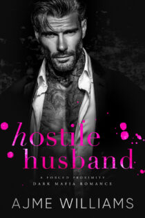 Hostile Husband by Ajme Williams EPUB & PDF