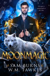 Moonmagic by Sam Burns EPUB & PDF