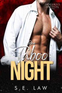 One Taboo Night by S.E. Law EPUB & PDF