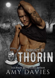 Property of Thorin by Amy Davies EPUB & PDF