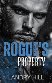 Rogue’s Property by Landry Hill EPUB & PDF
