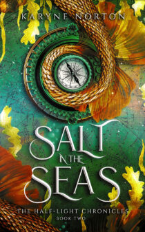 Salt in the Seas by Karyne Norton EPUB & PDF