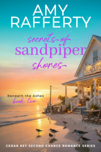 Secrets of Sandpiper Shores by Amy Rafferty EPUB & PDF