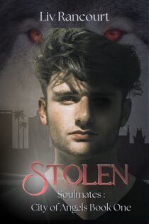 Stolen by Liv Rancourt EPUB & PDF