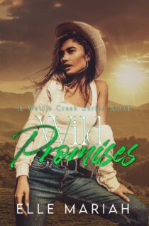 Wild Promises by Elle Mariah EPUB & PDF