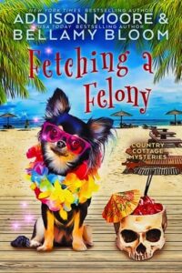 Fetching a Felony by Addison Moore