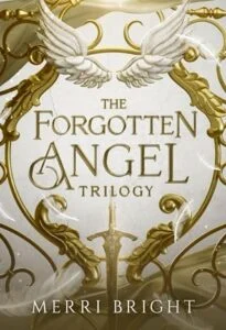 The Forgotten Angel Trilogy by Merri Bright