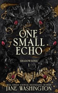One Small Echo by Jane Washington