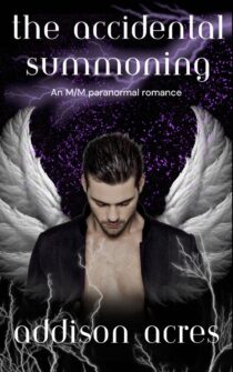 The Accidental Summoning by Addison Acres EPUB & PDF