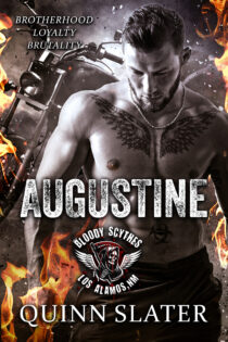 Augustine by Quinn Slater EPUB & PDF