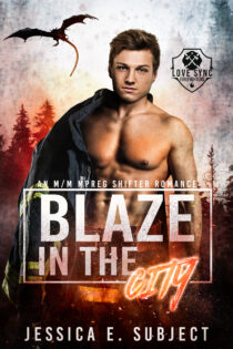 Blaze in the City by Jessica E. Subject EPUB & PDF