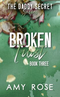Broken Trust by Amy Rose EPUB & PDF