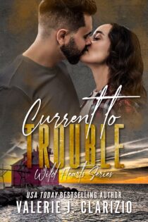 Current to Trouble by Valerie J. Clarizio EPUB & PDF