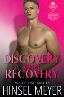 Discovery and Recovery by Hinsel Meyer EPUB & PDF