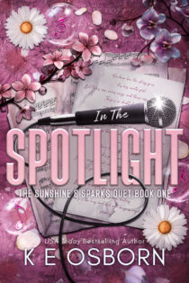 In the Spotlight by K E Osborn EPUB & PDF