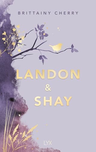 Landon & Shay by Brittainy Cherry