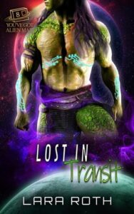 Lost in Transit by Lara Roth