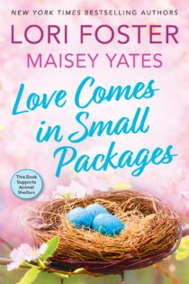 Love Comes in Small Packages by Lori Foster EPUB & PDF