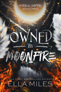 Owned by Moonfire by Ella Miles EPUB & PDF