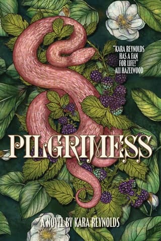 Pilgrimess by Kara Reynolds