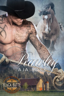 Rawley by Aja Foxx EPUB & PDF