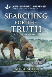 Searching for the Truth by Laura Scott EPUB & PDF