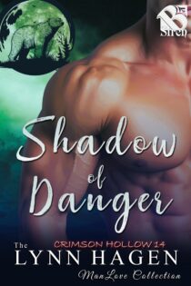 Shadow of Danger by Lynn Hagen EPUB & PDF