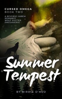 Summer Tempest by Birdie D'Avo EPUB & PDF