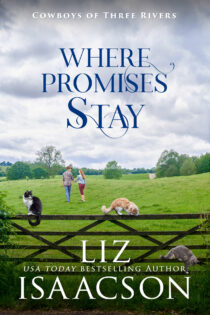 Where Promises Stay by Liz Isaacson EPUB & PDF