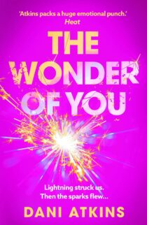 The Wonder of You by Dani Atkins EPUB & PDF