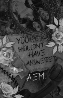 You Shouldn’t Have Answered by A. eM. EPUB & PDF
