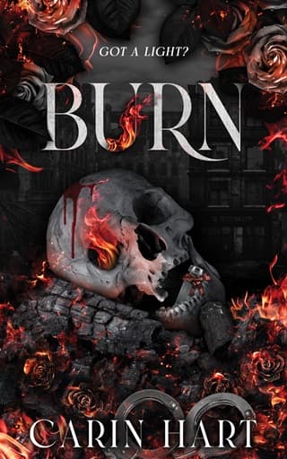 Burn by Carin Hart