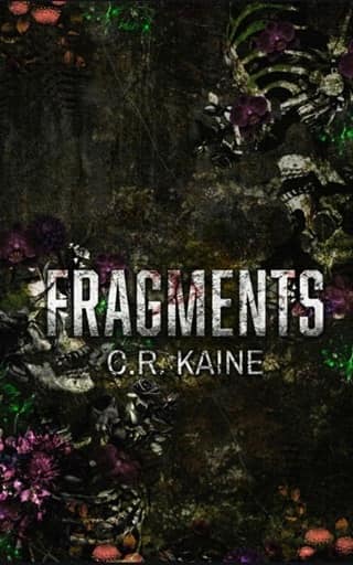 Fragments by C. R. Kaine