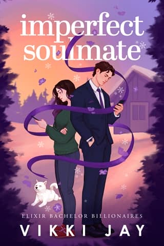 Imperfect Soulmate by Vikki Jay