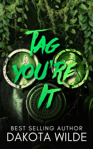 Tag, You’re It by Dakota Wilde