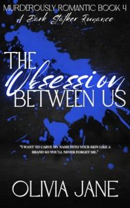 The Obsession Between Us by Olivia Jane