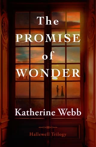 The Promise of Wonder by Katherine Webb