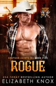 Rogue by Elizabeth Knox