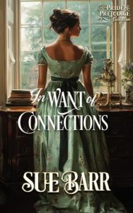 In Want of Connections by Sue Barr