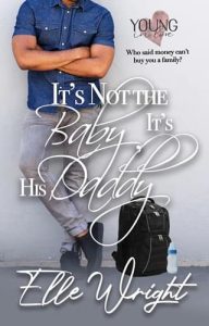 It’s Not the Baby, It’s His Daddy by Elle Wright
