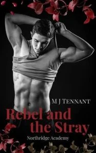 The Rebel and the Stray by M J Tennant