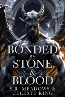 Bonded By Stone & Blood by S.R. Meadows EPUB & PDF
