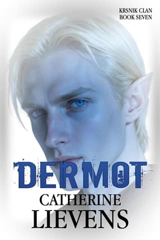 Dermot by Catherine Lievens
