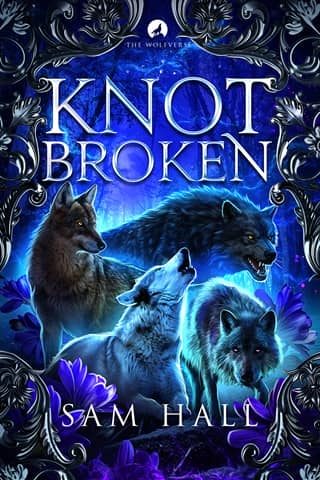 Knot Broken by Sam Hall