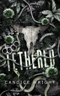 Tethered by Candice Wright EPUB & PDF
